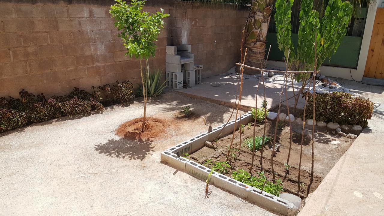 Hotel B&B Italia Caribe Pedernales Exteriör bild